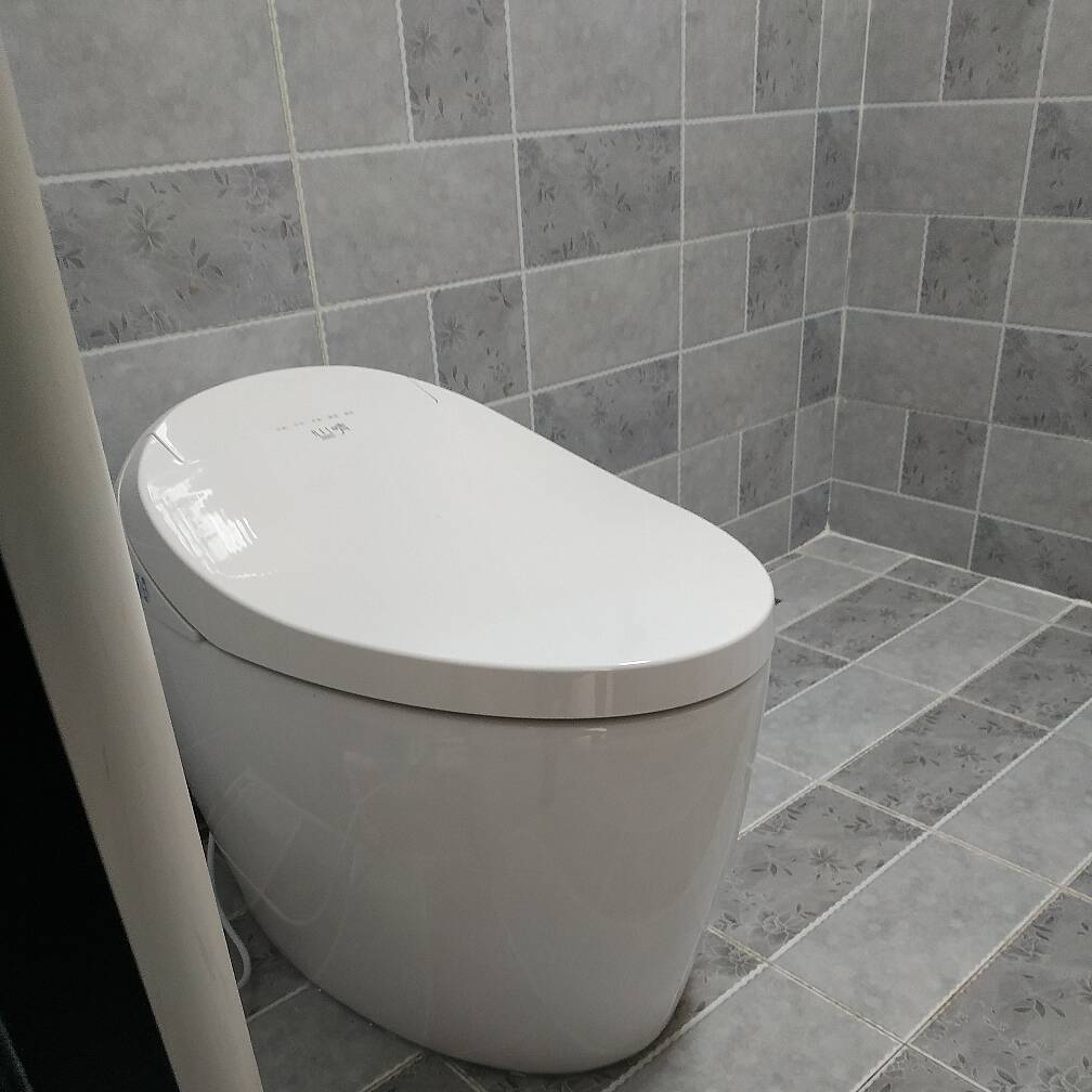 Automatic Flushing Smart Bidet Toilet with Multi-Function 1.32 GPF