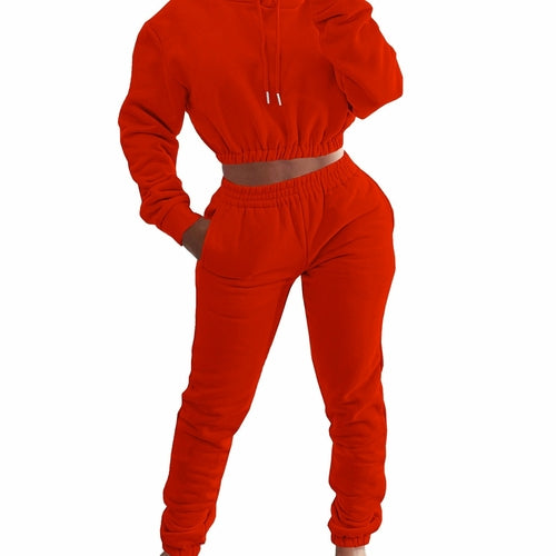 Cloud Comfort Plush Hoodie & Jogger Set