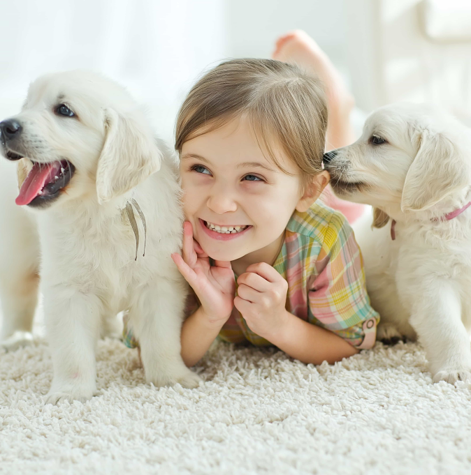 A boy lying down with 2 dogs