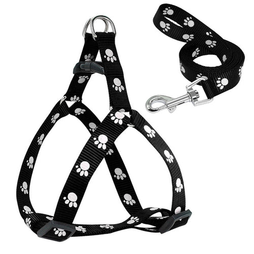 Adjustable Nylon Dog Harness & Leash Set