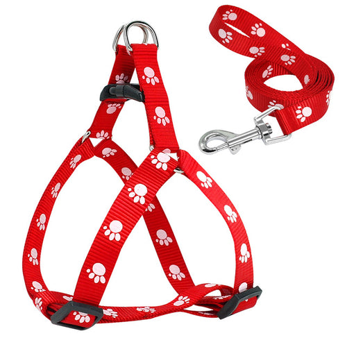 Adjustable Nylon Dog Harness & Leash Set