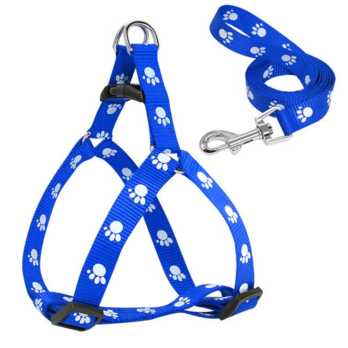 Adjustable Nylon Dog Harness & Leash Set