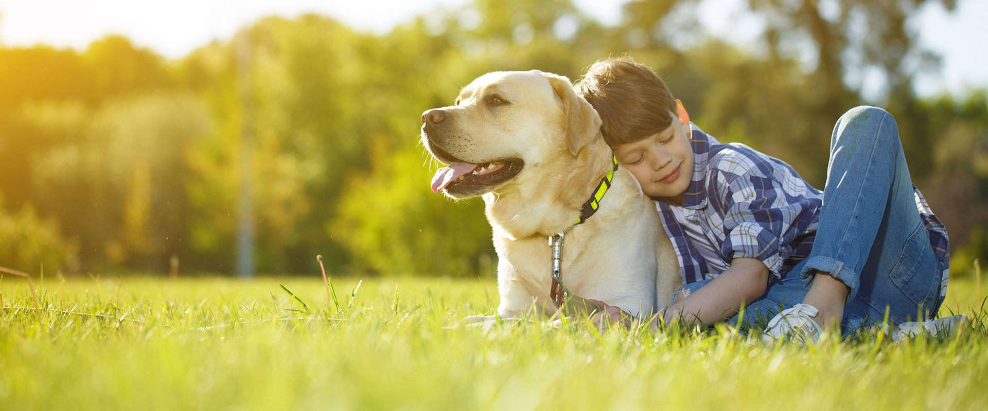 A boy and A Dog Sitting Outside on A field