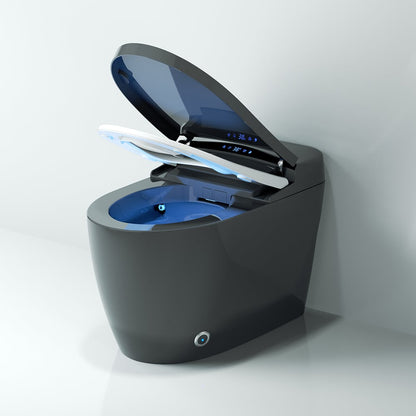 Hynova AX5 Automatic Smart Bidet Toilet with Multi-Function Gray 1.28 GPF