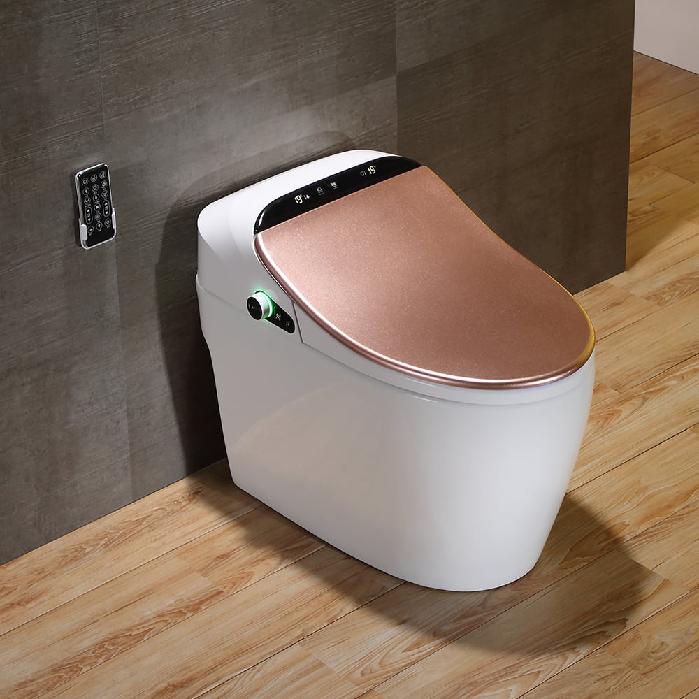 Hynova AX2 Set of Two Smart Bidet Toilet with Auto Open/Close Lid Rose Gold 1.28 GPF