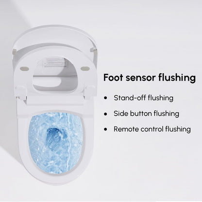 Fitro H1 Compact Smart Bidet Toilet with Automatic Flushing 1.32 GPF