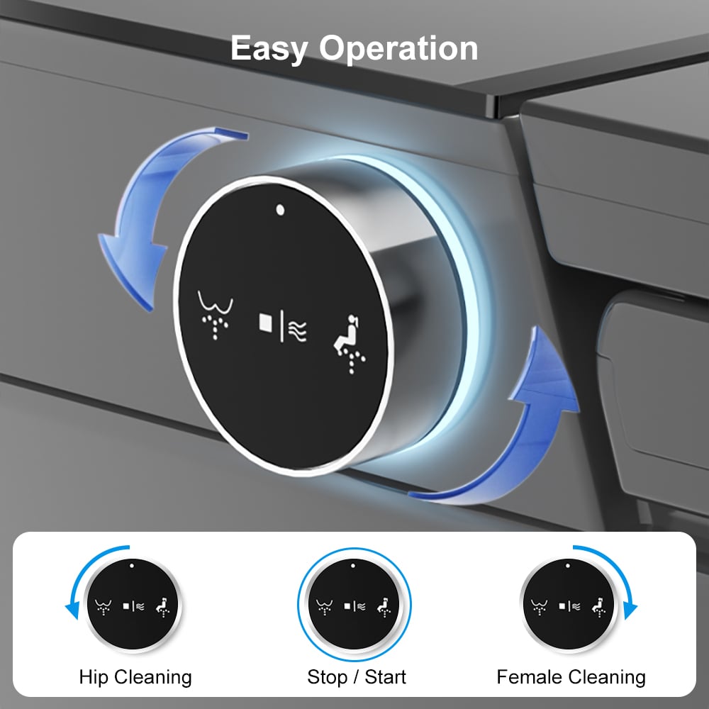 Control panel with cleaning functions labeled on a vehicle interior.
