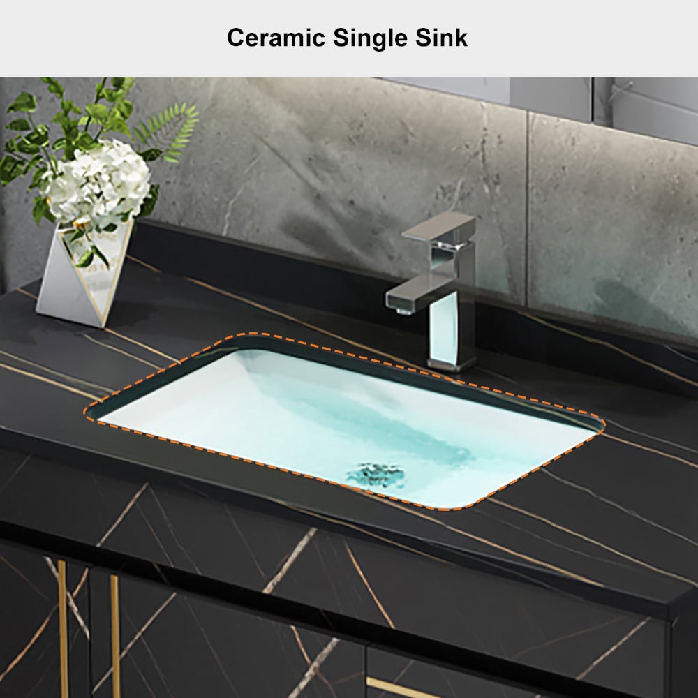 Ceramic single sink on a black countertop with a faucet and decorative plant.