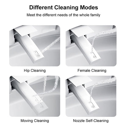 Four different cleaning modes of a shower head system on a white background.