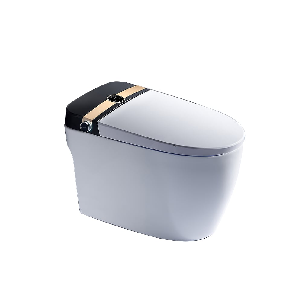 Modern toilet with a black and gold accent on a white background