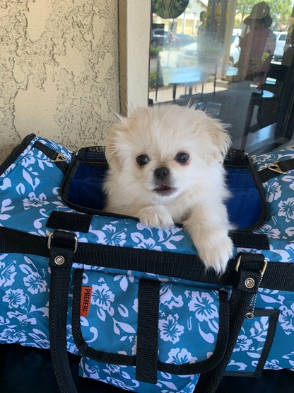 Hideaway™ Comfort Carrier