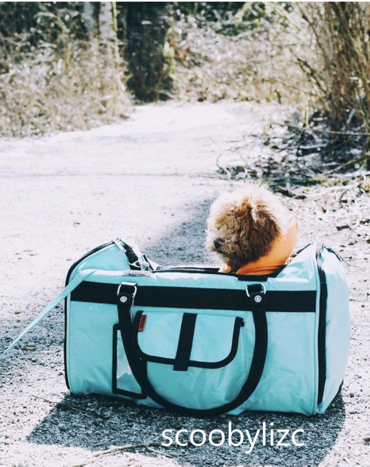 Hideaway™ Comfort Carrier