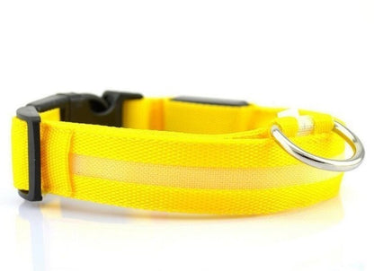 USB RECHARGEABLE LED PET DOG COLLAR 