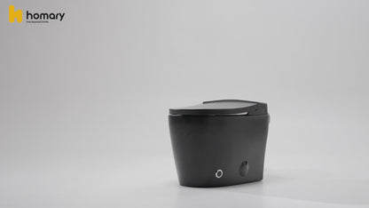 Hynova AX5 Automatic Smart Bidet Toilet with Multi-Function Gray 1.28 GPF