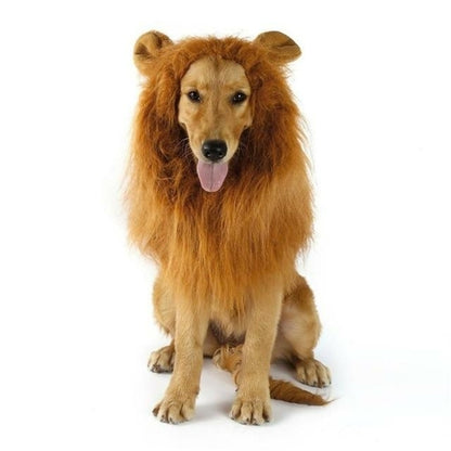 Lion Mane Dog Wig with Ears