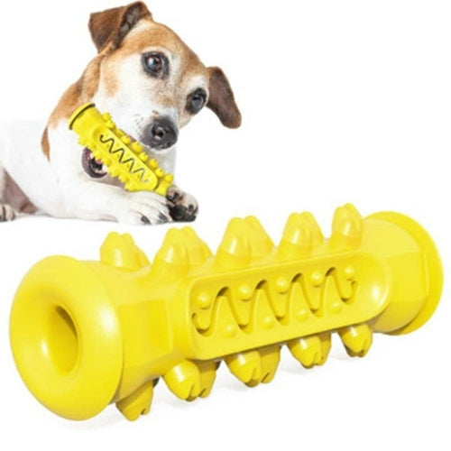 Dental Delight Chew Toy