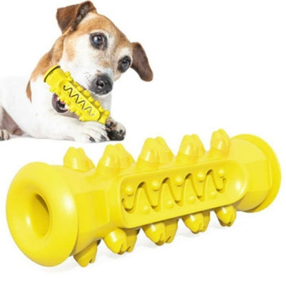 Dental Delight Chew Toy