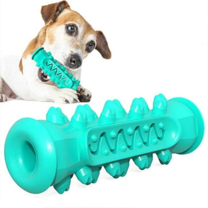 Dental Delight Chew Toy